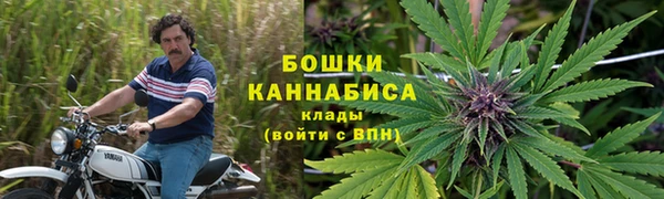 ALPHA PVP Алзамай