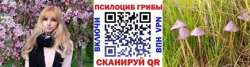 Галлюциногенные грибы Magic Shrooms  Белокуриха 