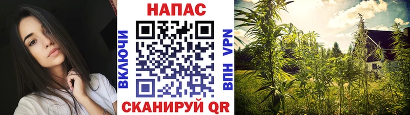 Канабис индика  гидра как зайти  Белокуриха 